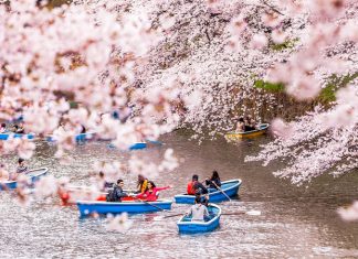 tour du lịch Nhật Bản