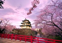 Du lịch Nhật Bản mùa hoa anh đào