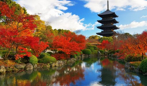 Du lịch mùa thu Nhật Bản - Đắm mình trong mùa lá đỏ