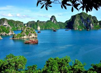 Khám phá vịnh Bái Tử Long tuyệt đẹp khi đi du lịch Hạ Long