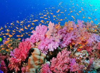 Khám phá vịnh Bái Tử Long tuyệt đẹp khi đi du lịch Hạ Long